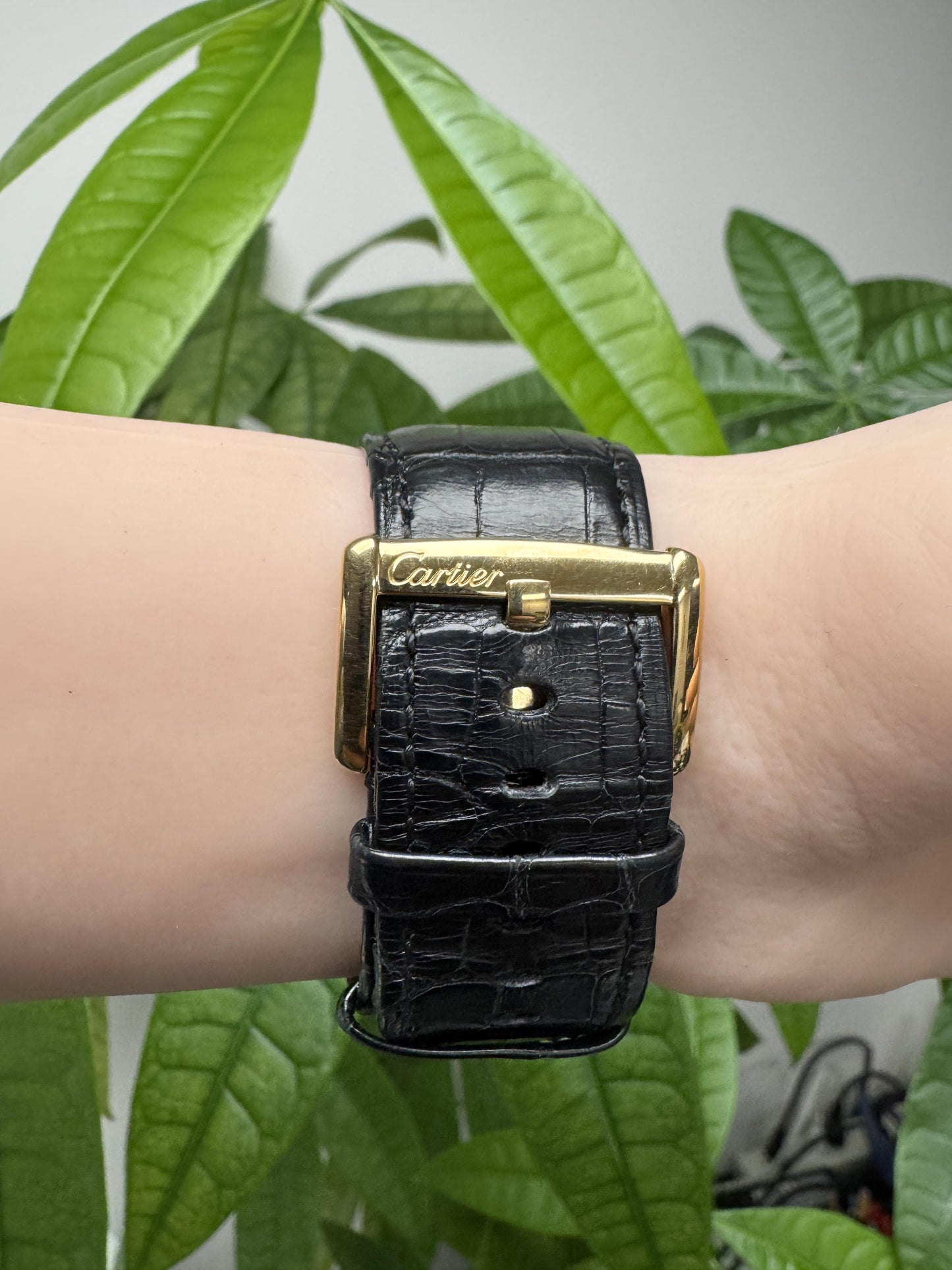 Cartier Tank Divan W6300556 18k Yellow Gold Quartz Ladies Watch