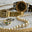 Steve Fishman Gallery logo