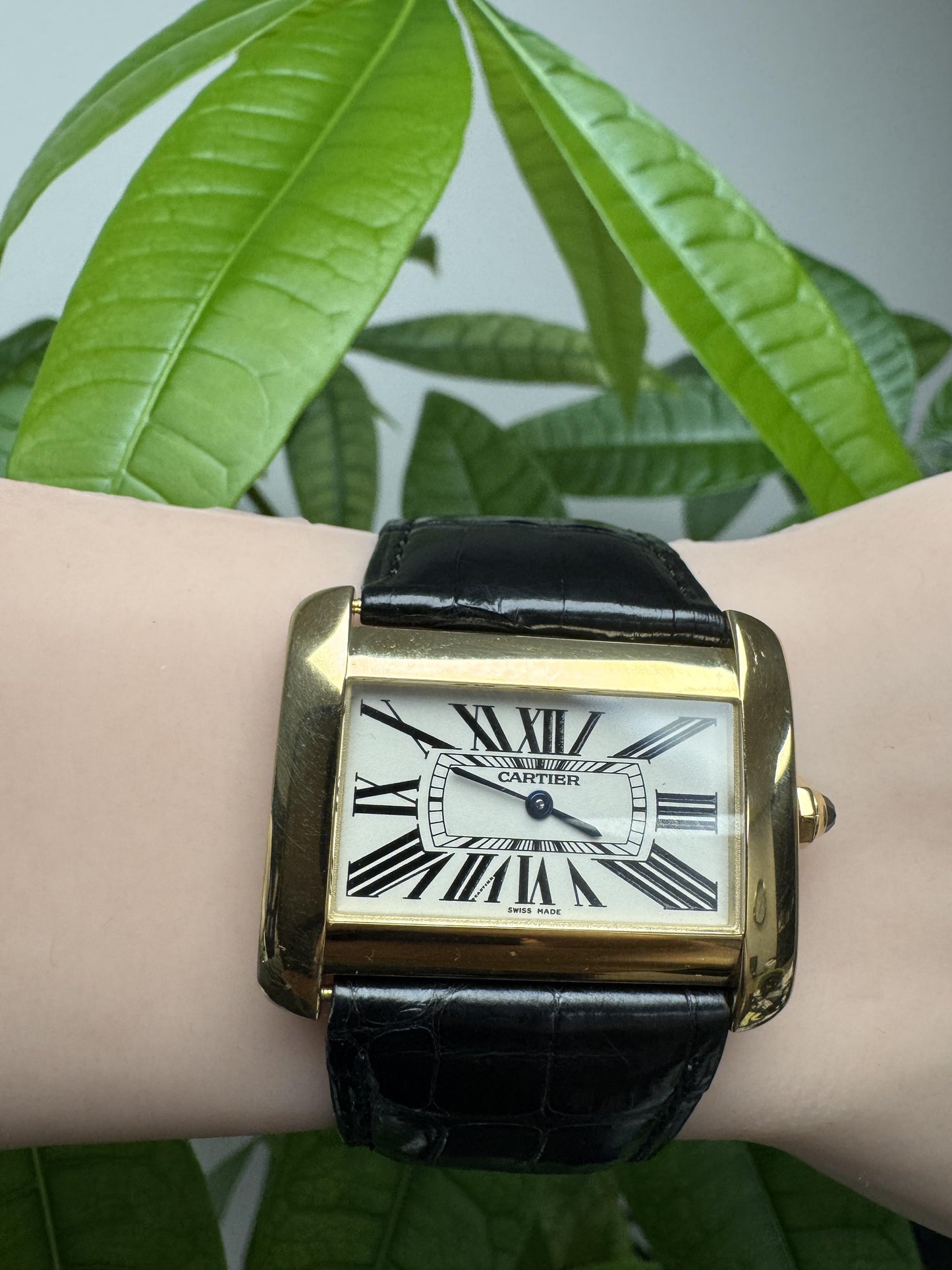 Cartier Tank Divan W6300556 18k Yellow Gold Quartz Ladies Watch