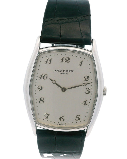 Patek Philippe Tonneau 3842P "Fantaisie" Platinum Watch & Papers