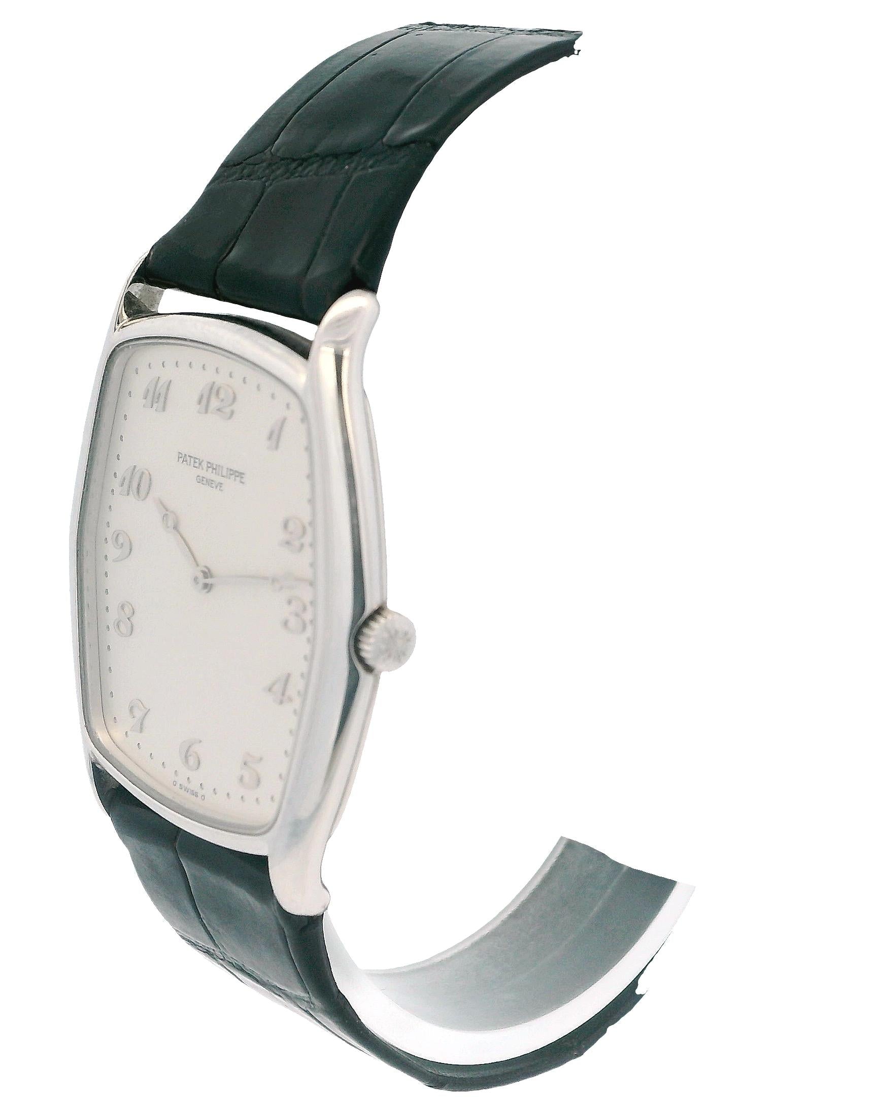 Patek Philippe Tonneau 3842P "Fantaisie" Platinum Watch & Papers
