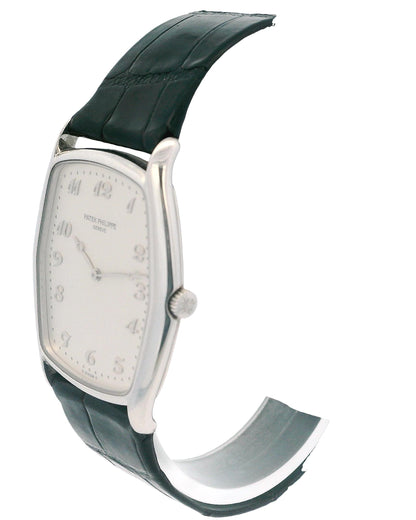 Patek Philippe Tonneau 3842P "Fantaisie" Platinum Watch & Papers