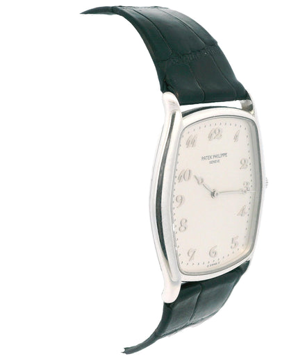 Patek Philippe Tonneau 3842P "Fantaisie" Platinum Watch & Papers